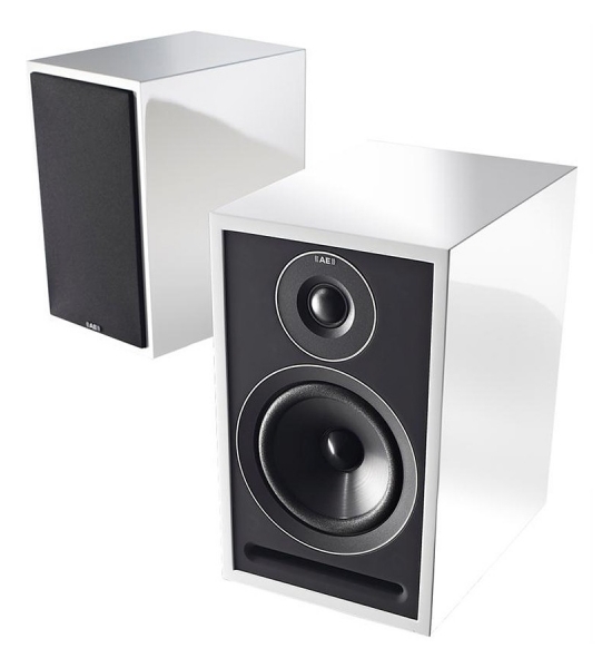 Акустическая система Acoustic Energy 301 review and foto Акустическая система Acoustic Energy 301