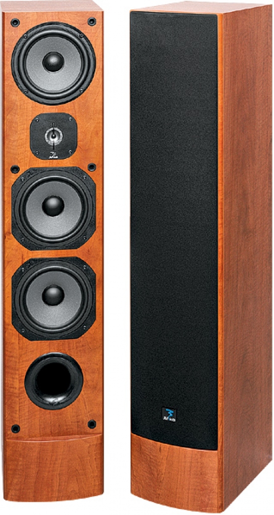 Акустическая система Focal-JMlab Chorus 725 review and foto Акустическая система Focal-JMlab Chorus 725